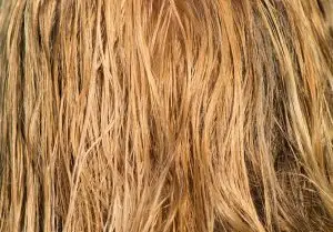 hair, blond, wet-3419148.jpg